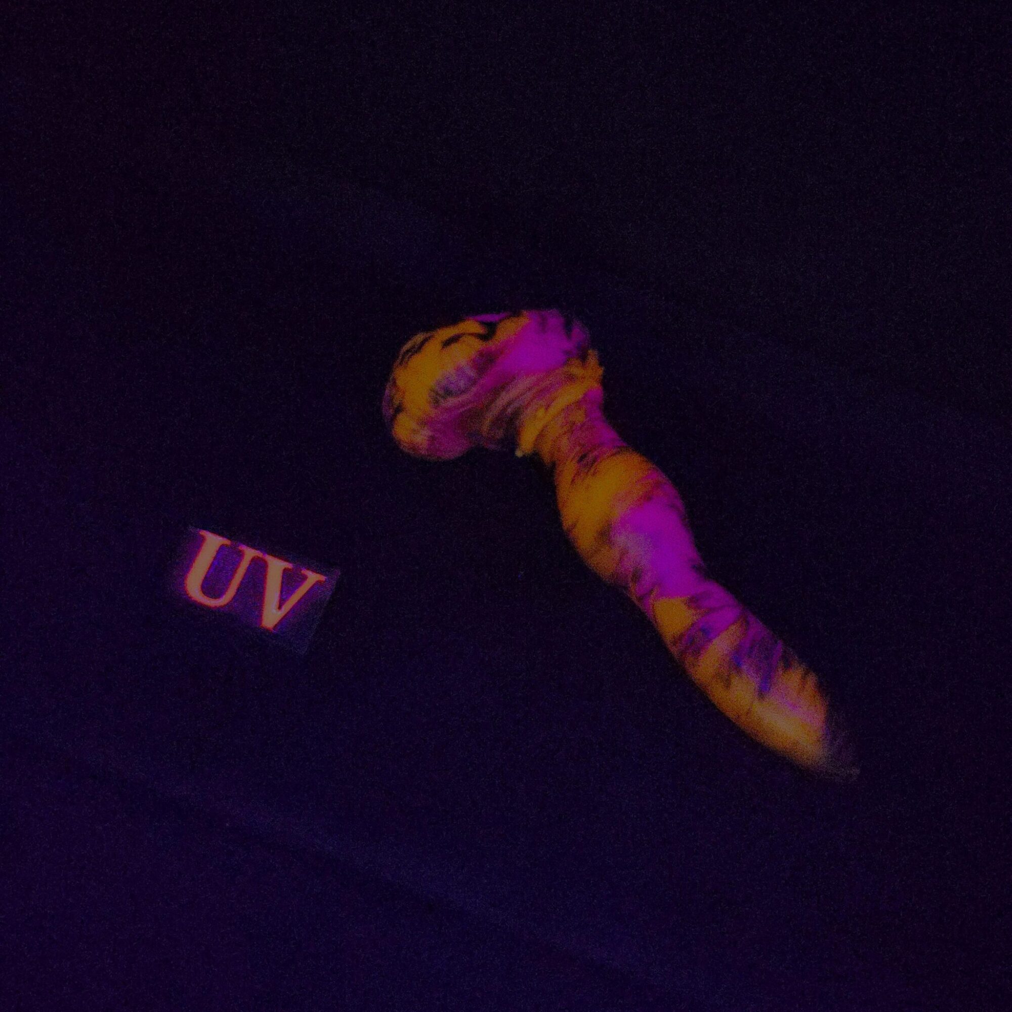 Small Taco - 6881 - Image 5