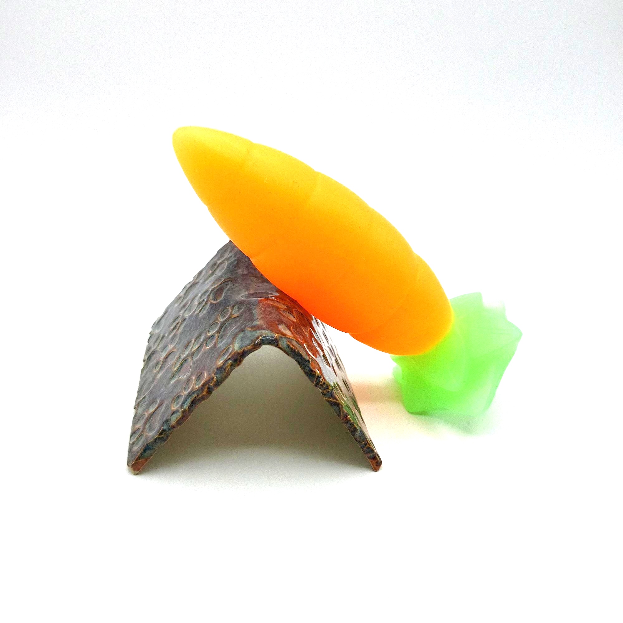 Beginner Carrot - 8946